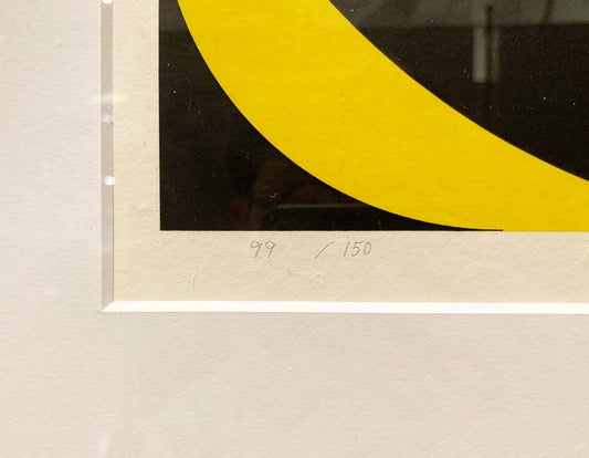 TOSHINOBU ONOSATO / Silk screen / Silk-98 natural frame