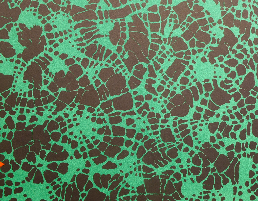 KUMI SUGAI /  Lithograph / FESTIVAL DE VERT