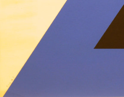 KUMI SUGAI /  Lithograph / SIGNAL B