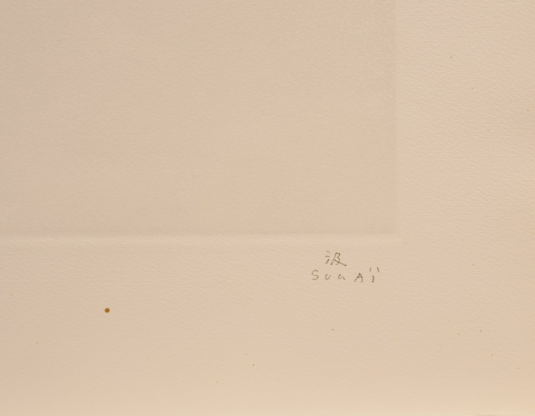 KUMI SUGAI /  Etching / CHAINE DE DIABLE