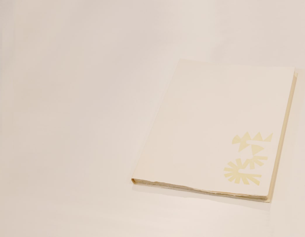 KUMI SUGAI /  Etching Art Book / ACCIDENT (56/105)