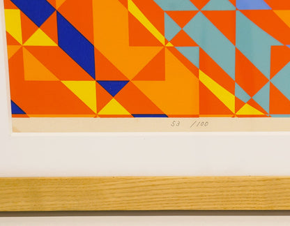 TOSHINOBU ONOSATO / Silkscreen / Silk-72 natural frame